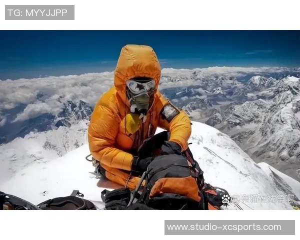 谢什科的传奇人生与影响力探秘，揭示他背后的故事与成就