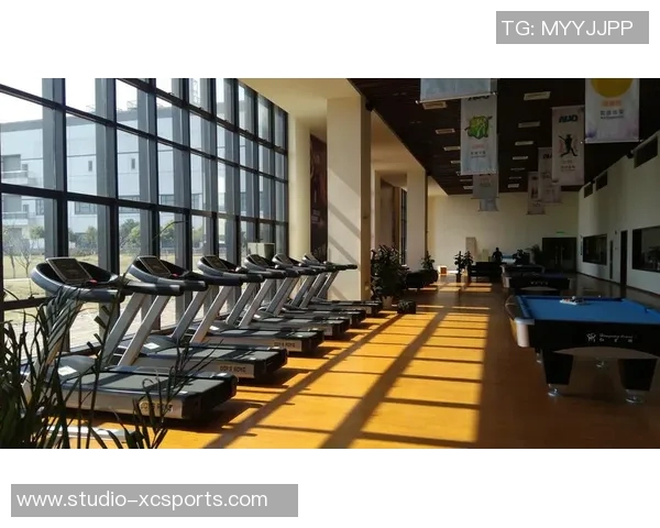 南通锐思健身器材有限公司引领健身器材行业创新与品质新风尚